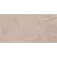 TE01 60x120x10 Неполированный