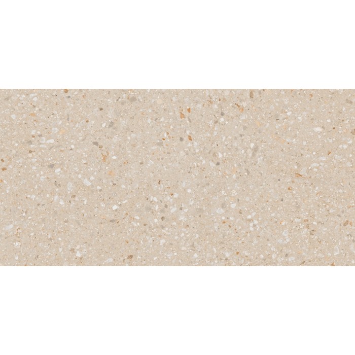 AG22 60x120x10 Неполированный