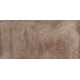 SD33 60x120x10 Неполированный R9