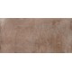 SD33 60x120x10 Неполированный R9