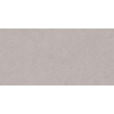 LF01 60x120x10 Неполированный