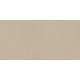 Керамогранит окрашенный Atlas Concorde Wise Sand Rett 60x120