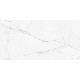VS01 30x60 Неполированный