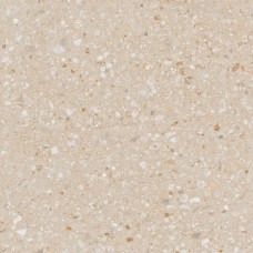 AG22 60x60x10 Неполированный