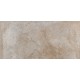 SD02 60x120x10 Неполированный R9