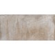 SD02 60x120x10 Неполированный R9