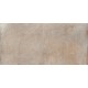 SD02 60x120x10 Неполированный R9