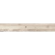 SP01 19,4x120x10 Неполированный
