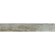 SP03 19,4x120x10 Неполированный