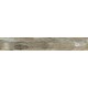 SP03 19,4x120x10 Неполированный