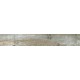SP03 19,4x120x10 Неполированный