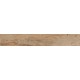 SP04 19,4x120x10 Неполированный
