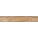 SP04 19,4x120x10 Неполированный