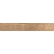 SP04 19,4x120x10 Неполированный